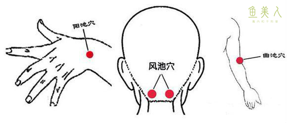 體質(zhì)平衡